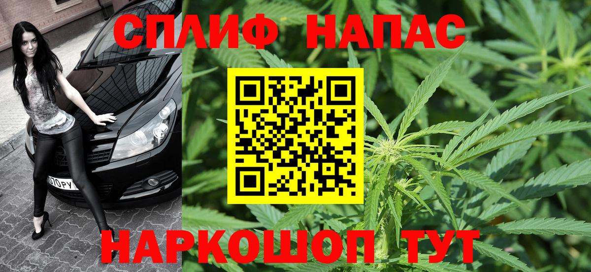 Марихуана семена  Канабис сатива  Нурлат  МАРИХУАНА конопля  Вход с VPN 